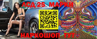 МДПВ Камышлов