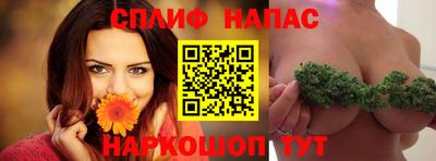 МДПВ Камышлов
