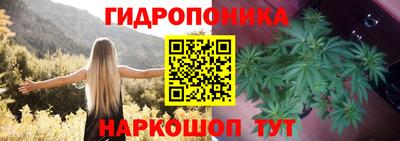скорость Канаш