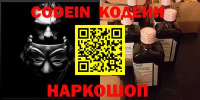 МДПВ Камышлов